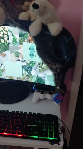 My computer setup! #audio #kawaii #fypシ #cute #setup #computer