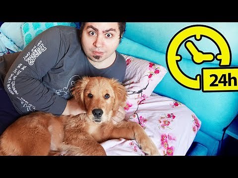 SEGUO LYON PER 24 ORE NELLA VITA REALE!!!