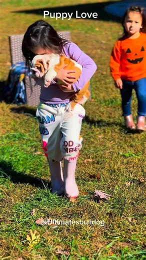Just a girl and her English bulldog puppy.. I wonder what places they will go together⁉️🫶🏻 #bulldogsofinstagram #englishbulldog #bulldog #bulldogpuppy #bulldogs #englishbulldogsofinstagram #bulldoglovers #puppylove #puppies #puppy #bulldog #bulldogsoftiktok #bulldogs #englishbulldogpuppy #englishbulldog #bulldogsofinstagram #bulldogingles #bulldogpuppy #bulldoglife #englishbulldog #royalcaninambassador #puppies #puppiesofinstagram | Ultimate Bulldogs