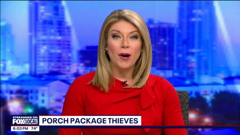 Thieves caught on camera stealing packages