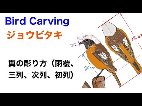 バードカービング（Birdcarving）ジョウビタキ3 翼の彫り方（雨覆、三列、次列、初列）ありむら工房