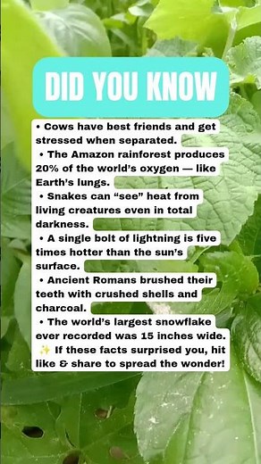 Strange but True Random Facts From Everywhere 🌎🧠😳