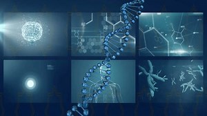 DNA strand and brain activity animation over scientific research visuals. Science, technology, biology, neuroscience, genetics, biology
