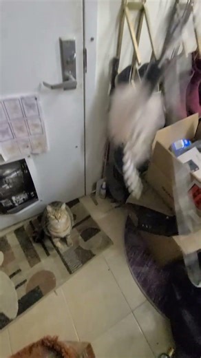 Wiggle Wand Tutorial #3