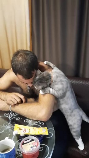 Affectionate Moments: Man and Cat Interaction