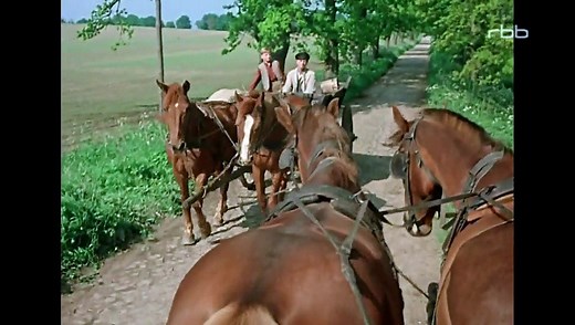 Die Heiden von Kummerow und ihre lustigen Streiche (Ganzer Film Deutsch)