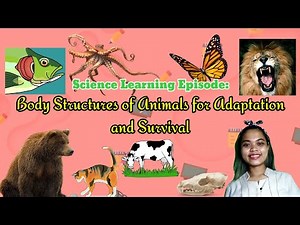 Body Structures of Animals for Adaptation and Survival | Grade 4 Science - Quarter 2, Week 3