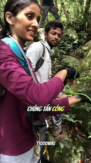 Top 3 MOST DANGEROUS Venomous Snakes in Vietnam: Stay Away from #1! 😱🐍#shorts #snake