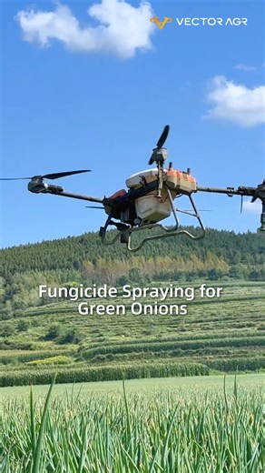 See the Vector AGR Fungicide spraying in Action! 🌱 Watch how Vector AGR advanced agricultural drone HD580 effortlessly sprays fungicide on green onion fields! 🚁💧 ✅ Precision spraying ✅ Efficient coverage Boost your yield and protect your crops with cutting-edge technology! 🌿📈 #AgricultureTech #DroneSpraying #GreenOnionFarming #PrecisionAgriculture #SustainableFarming #VectorAGR | VectorAgr