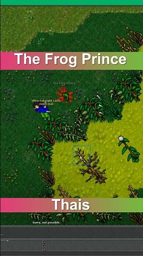 Tibia - The Frog Prince - Boss - Thais #tibia #tibia2025 #tibiabosses #tibiagame #tibiaglobal
