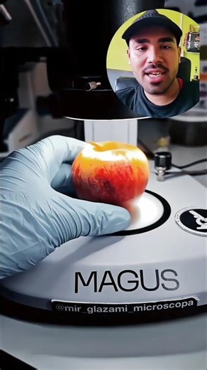 The reality of Apple.