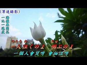 雨に咲く花(在雨中開的花)1935(日語~井上ひろし+翻譯)銘哥翻唱