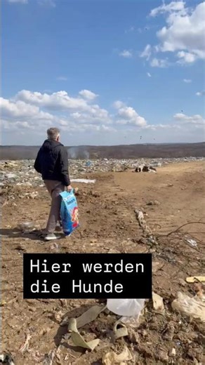 Das ist die Realität hier werde die Hunde zurücklassen zum verhungern, verdursten zum Sterben.