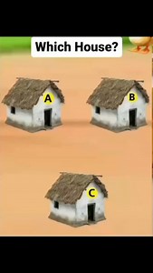 Ngaho tubwire | Ip Pro