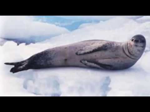 Go Math 5th Grade Lesson 4.7 Multiply Decimals