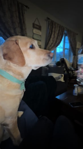 Quinn (@quinnthegood1)’s videos with Pretty Good At Drinkin' Beer - Billy Currington