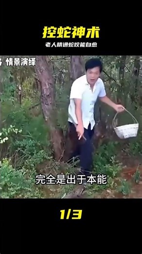 湖南老人精通控蛇術！被毒蛇咬傷能夠輕易治愈！他是怎么做到的？ #湖南老人，控蛇术，蛇毒咬伤，神奇疗法，瞬息自愈
