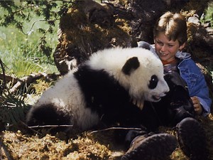 The Amazing Panda Adventure - Apple TV (DK)