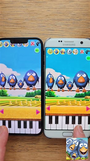 Hilarious Talking Birds Compilation! 🐦