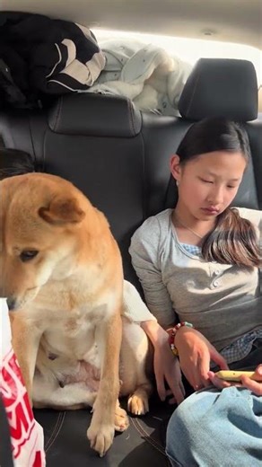 The Heartwarming Journey of a Baby Bottle to Guangxi