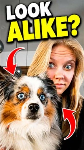 Dogs That Literally Look Like Their Owners! 😭 #shorts #dog