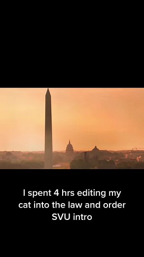 Pls dick wolf I’m begging you use my intro for season 47