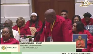 5K views · 54 reactions | Economic Freedom Fighters on Reels | Facebook