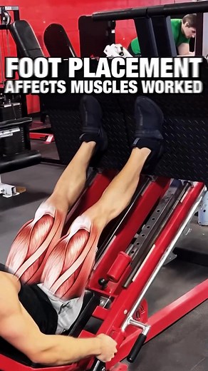Leg press foot positions to emphasize different muscles. | Pfau Fitness