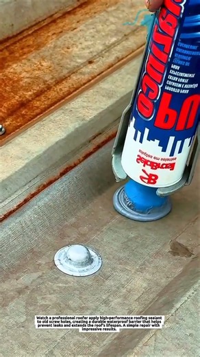The Smartest Way to Seal Old Roof Screw Holes! 🏠💧