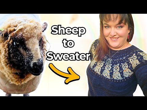 I Didn’t Just Knit This Sweater, I Spun the Yarn Too!