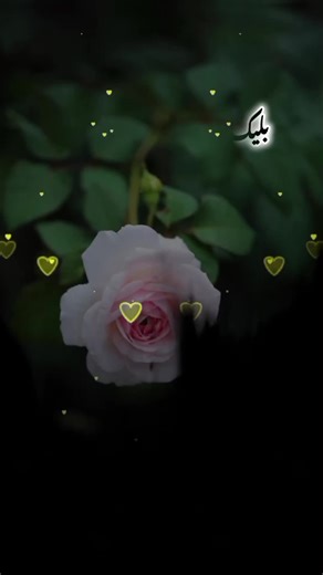 black color mera favourite hai jante ho kyon‎#fyp #unfreezemyaccount #foryoupage #urdupoetry