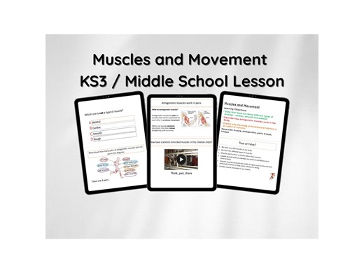 Muscles & Movement Lesson – Ks3/middle School Science (printable) - Etsy