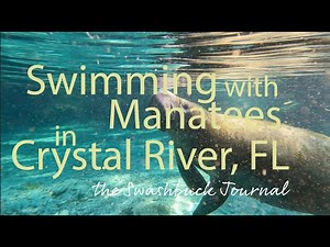 Swimming with Manatees in Crystal River, FL