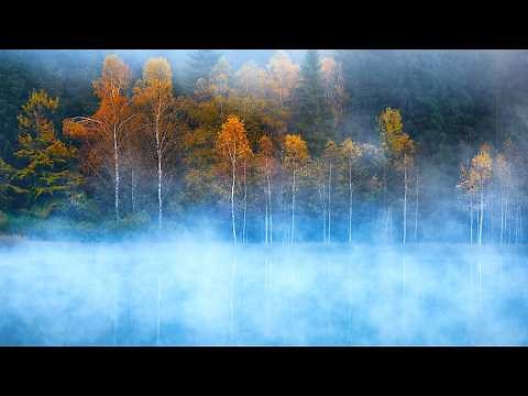 Finding peace in Autumn" Beautiful Relaxing Music, Peaceful Soothing Instrumental Music by Tim Janis