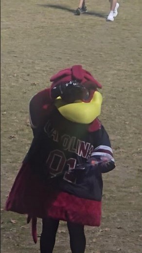 USC Cheer - SouthCarolina Gamecockys