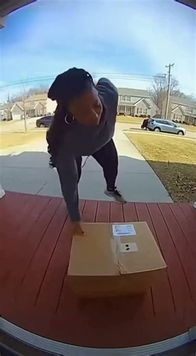 They Should’ve Known Better 😬💥