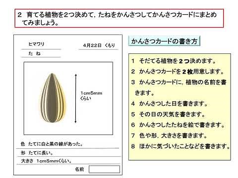 小３理科（大日本図書）たねまき①