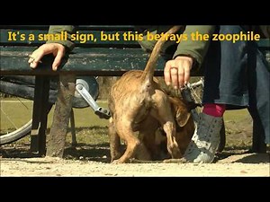 A Girl and her Dog - Mujeres que juegan con los Perros - حب الحيوانات