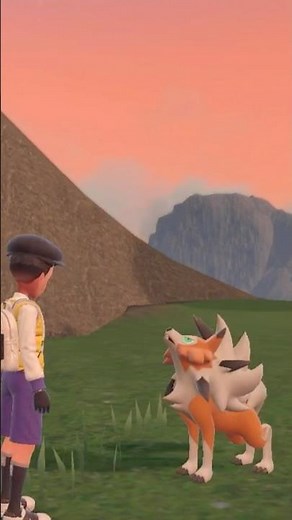 Pokémon Scarlet and Violet - How to evolve Rockruff into Dusk Form Lycanroc #johndgaming #pokemon