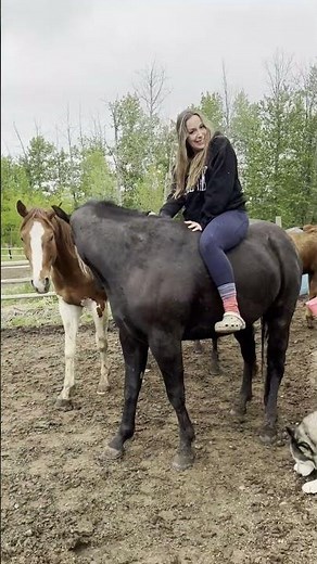 Woman Falls off Horse as It Runs Away - 1508432