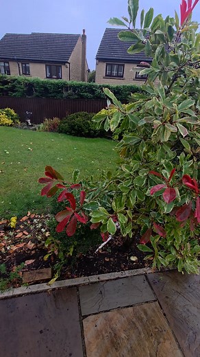 🚧💡 Safety First! 💡🚧 Always check your working area before you start digging. Hitting a water or gas pipe can be dangerous — and very costly! ✅ Call utility services to mark underground lines ✅ Use proper detection tools ✅ Dig with care near marked areas A few minutes of preparation can save lives, time, and money. Stay safe out there! 👷‍♂️🔧 | Parkstone Fencing - Decking & Gardening Services