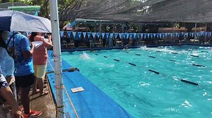 1.5K views · 17 reactions | 5th John B Lacson FMU Memorial SwimFest 2025 | Sports Page Iloilo | Facebook
