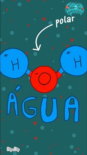 Experiment: Polarity of water and oil #science #curiosities #chemistry #physics