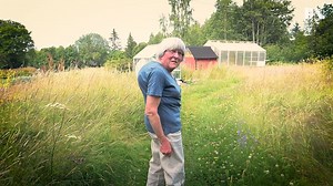 273K views · 3.4K reactions | Annika Rullgård märker inte av de höjda elpriserna. Hon har aktivt effektiviserat sitt el- och energisystem sedan 1986. – Jag har ett värmesystem som står på flera ben, säger hon. Följ med till Annikas gård i Orsa och se hur hon energieffektiviserat hemma hos sig. Läs mer här: https://www.dn.se/ekonomi/sa-har-annika-energieffektiviserat-kanner-inte-av-hoga-priser/ | Dagens Nyheter | Facebook