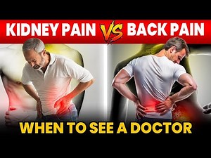 Kidney Pain vs. Muscle Pain: Don’t Get Confused | Kidney Pain vs. Back Pain – Easy Guide | Fight CKD