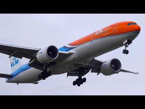 ✈️ CLOSE-UP Plane Spotting at 🇳🇱 Amsterdam Schiphol Airport (AMS)