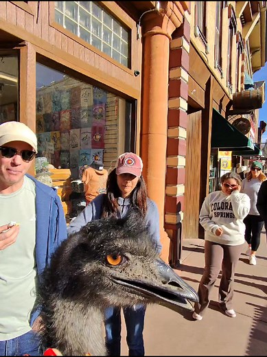 Walking with a Dinosaur: An Outdoor Adventure