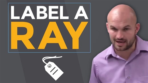 What is a ray and how do we label one?