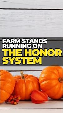 Making Good Profit on Self-Serve Stands #shorts #farming #farmstand #honorsystem #selfserve
