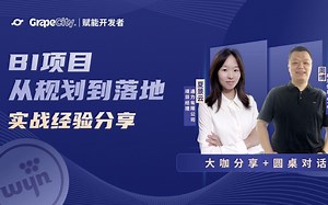 【葡萄城公开课】BI项目从规划到落地实战经验分享
